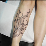 Tattoos - Bristlecone Pine Tree on Shin- Instagram @michaelbalesart - 123103